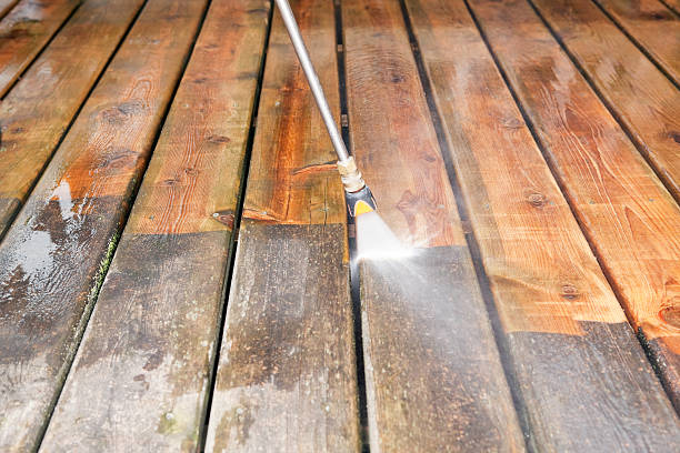 Professional Pressure Washing Services in Florida Ridge, FL